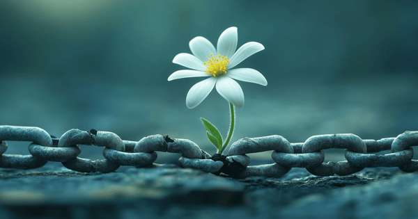 Retail challenges and resilience in a connected world