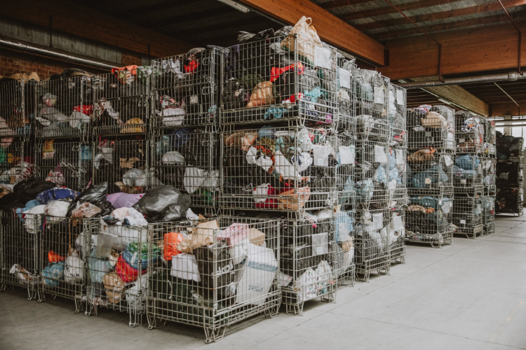 herwin_tilroy_case (2)