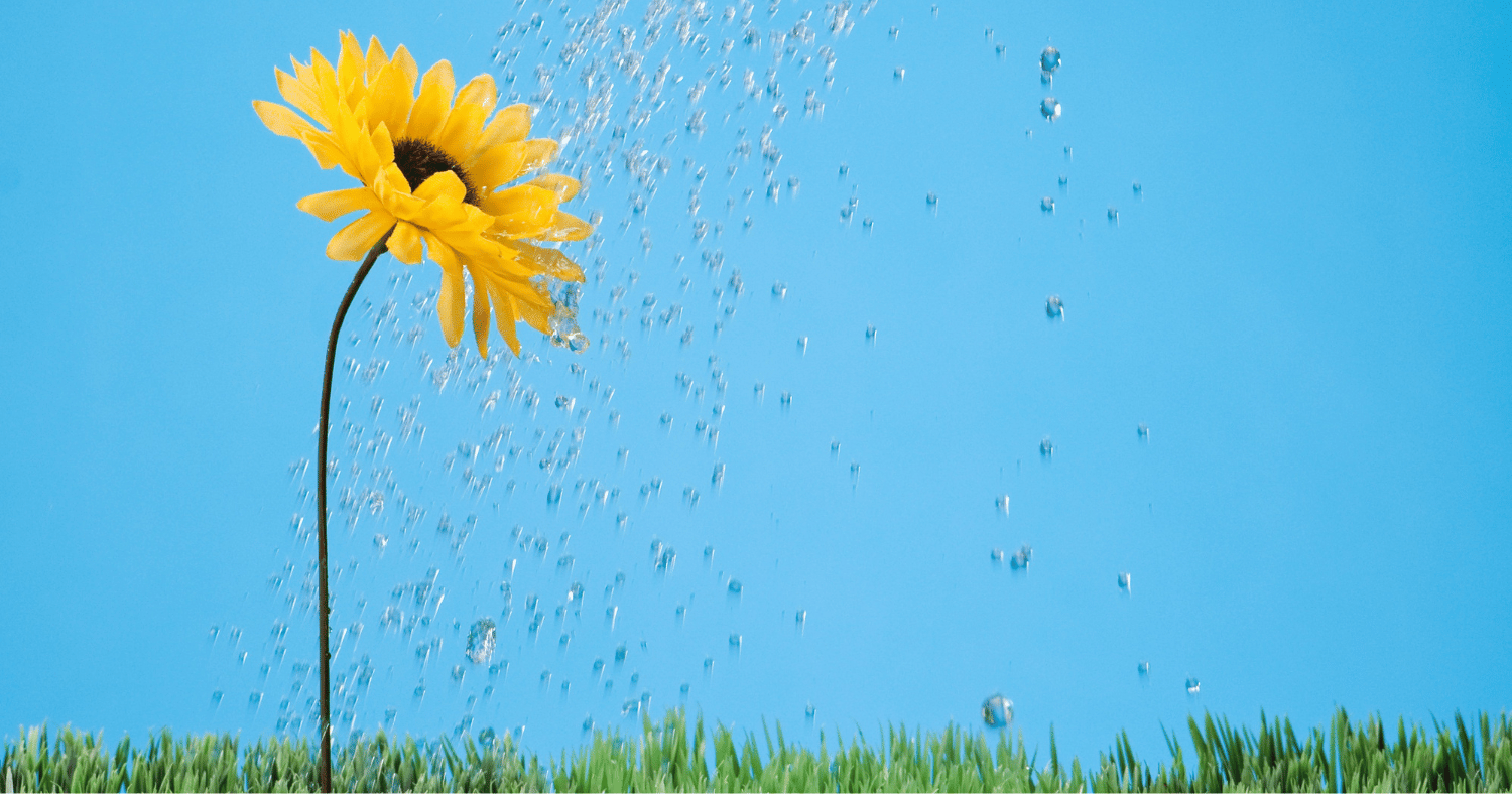 Klantengegevens en klantentrouw illustratie bloem die water krijgt